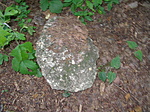A segédeszköz