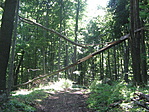 itt járt Zorro