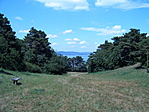 Lefelé