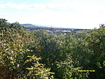 panoráma