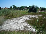 szikes