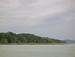 Balatoni nádas