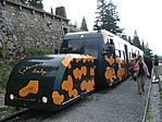 Szalamander bébivel