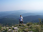 A Bolha