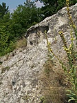 Sziklaforma