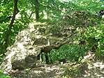 Biber-vár romjai