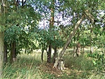 Lovacska