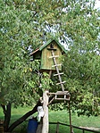 Galambdúc