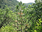 Kilátás