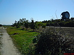 2. pont felé