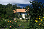 A fészek