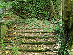 egy rég használt lépcső