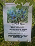 barbárok