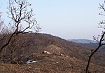 2003