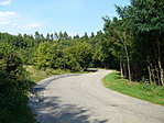 Erdei út