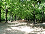 Erzsébet park