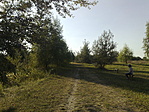 Pihi