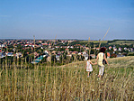 Magas fűben