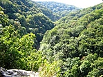 kilátás