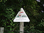 Közelben
