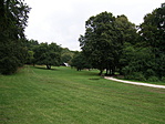 Pusztamarót