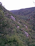 szurdok