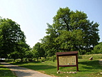 Tanösvény
