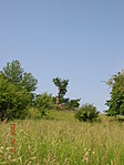 A környezet