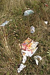 Környezet