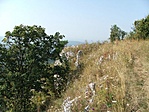 Tar-kő
