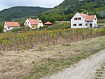 Szentbékkállai üdülő-szőlők.