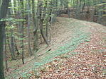 kanyarog a vasút