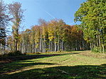 Őszi színek