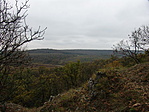 Sziklák közelében