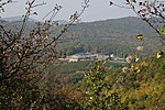 randa nagy pénzéhes monstrum