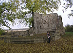 A romnál
