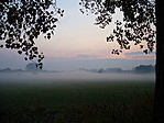 Ködös reggel