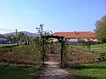 rózsakert