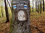 Rockenbauer Pál emlékfa