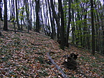 a láda lássa
