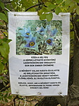 szerintetek visszahozza?
