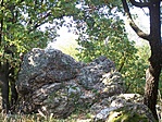 Hatalmasak.