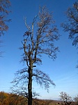 Megyünk tovább a Kőröslyuk-bg.hoz