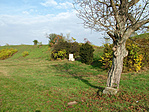 A rejtek