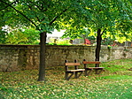 Templomkerti csendélet