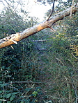 Piros háromszög