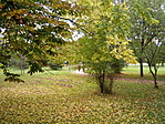 park