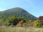Színorgia