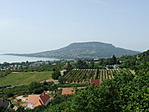 Kilátás