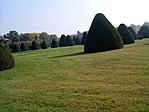 szabályszerűség